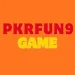 PKRFun9 Game